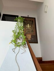 The Verte (D15), Apartment #532079461